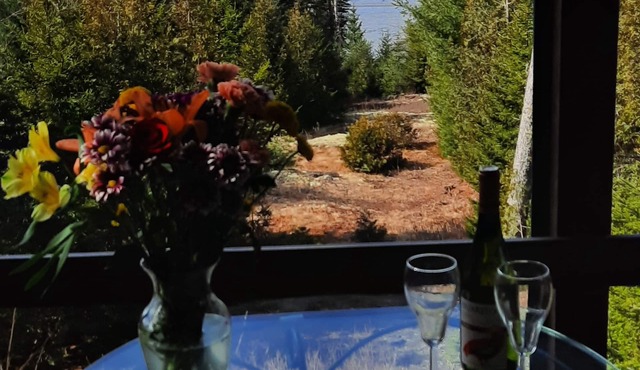 TreeTops shorefront 3 story cottage/views. Schoodic & Acadia NP nearby. Kayaks!