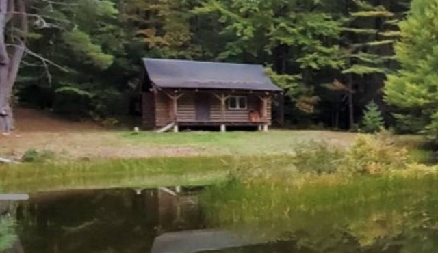 Very private log cabin nestled in the woods to unwind & unplug.