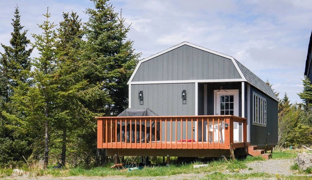 Whale Watch, Fish & Hike Glaciers! Homer Cabin