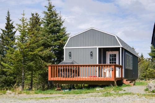 Whale Watch, Fish & Hike Glaciers! Homer Cabin