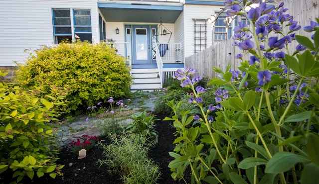 Willard Beach Get Away - Dog Friendly - Steps from the shore!