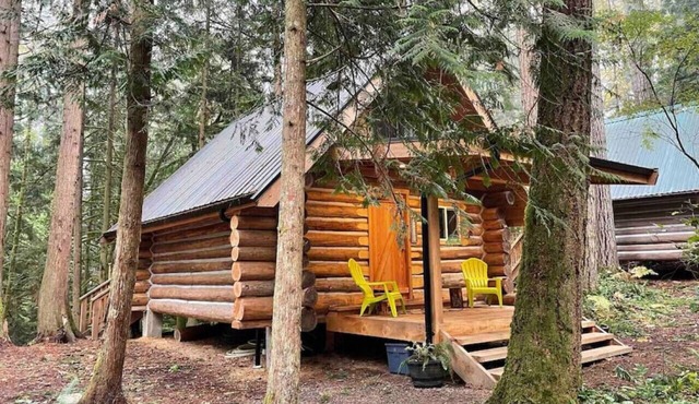 Wind Down Log Cabin in the Woods with Cozy Woodstove & Shared Sauna