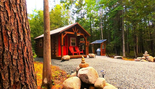 You will love this brand new private and cozy cabin in a great location!