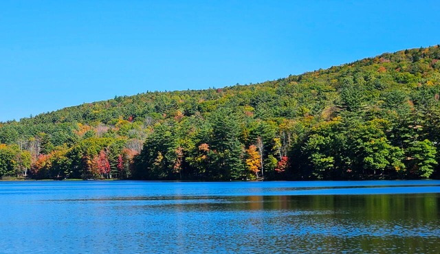 Your Lakeside Paradise: A/C, Private Dock, Kayaks & Rowboat on Dexter Pond!