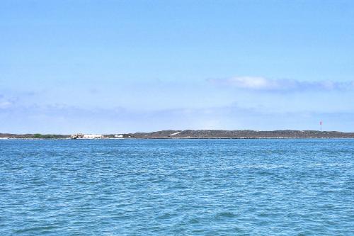 Channelview CV206