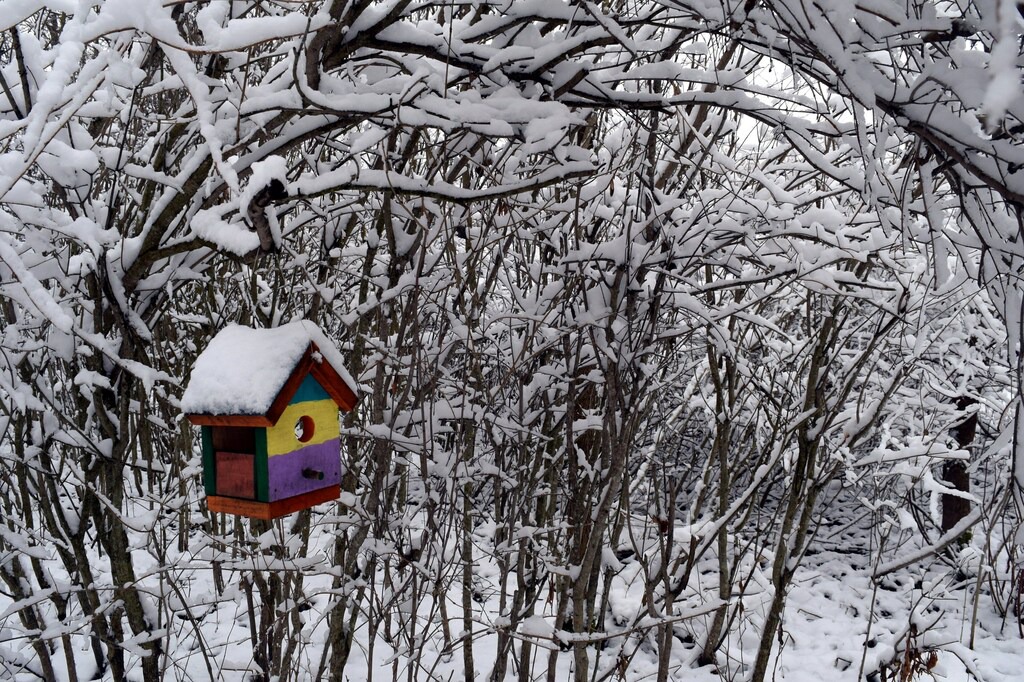 Photo of Others in Trumansburg