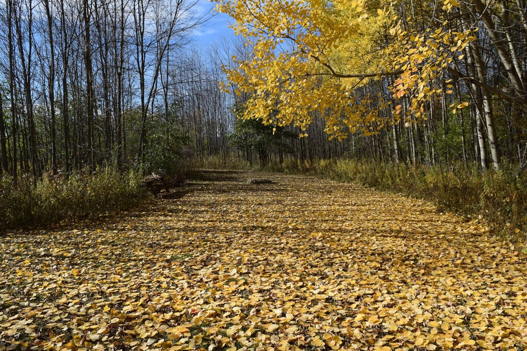 Photo of Outdoor in Trumansburg