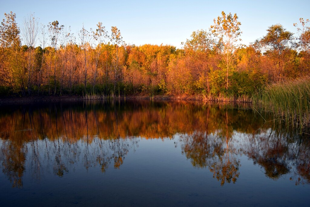 Photo of Outdoor in Trumansburg