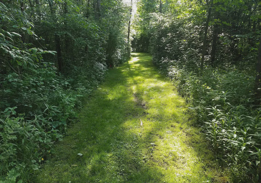Photo of Others in Trumansburg
