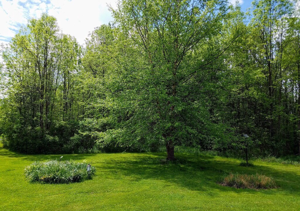 Photo of Outdoor in Trumansburg
