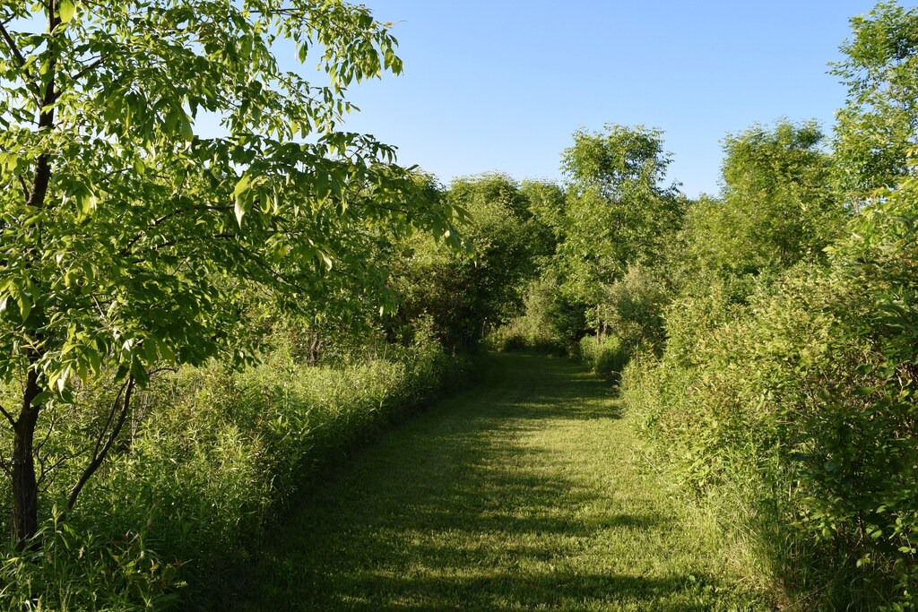 Photo of Outdoor in Trumansburg