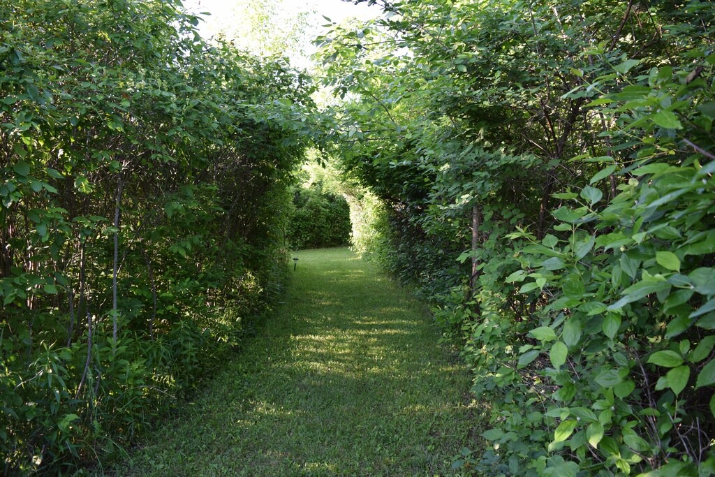 Photo of Outdoor in Trumansburg