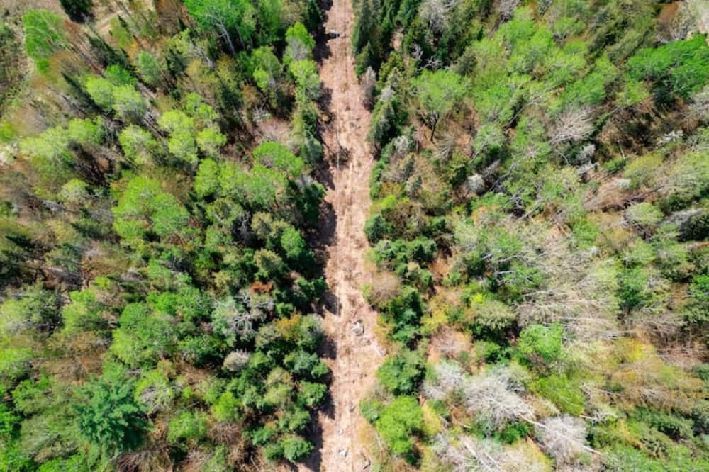 Photo of Outdoor in Stratton