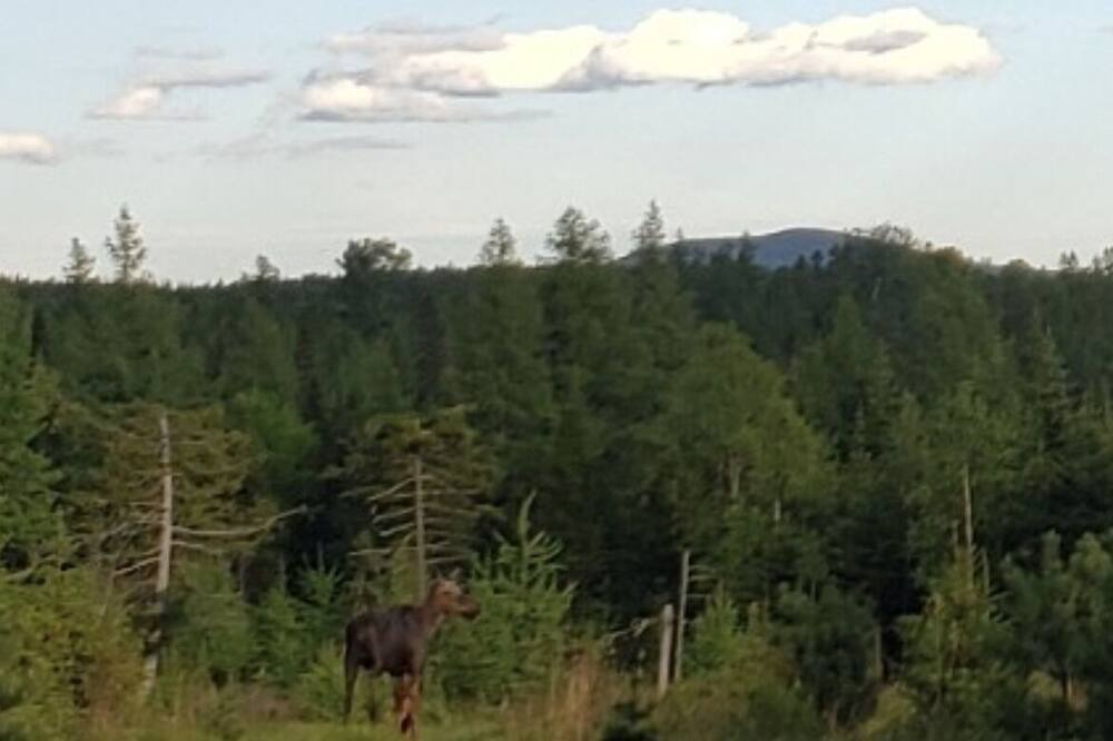 Photo of Outdoor in Monson