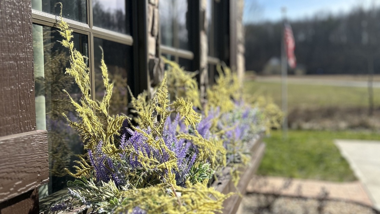 Photo of Outdoor in Cookeville