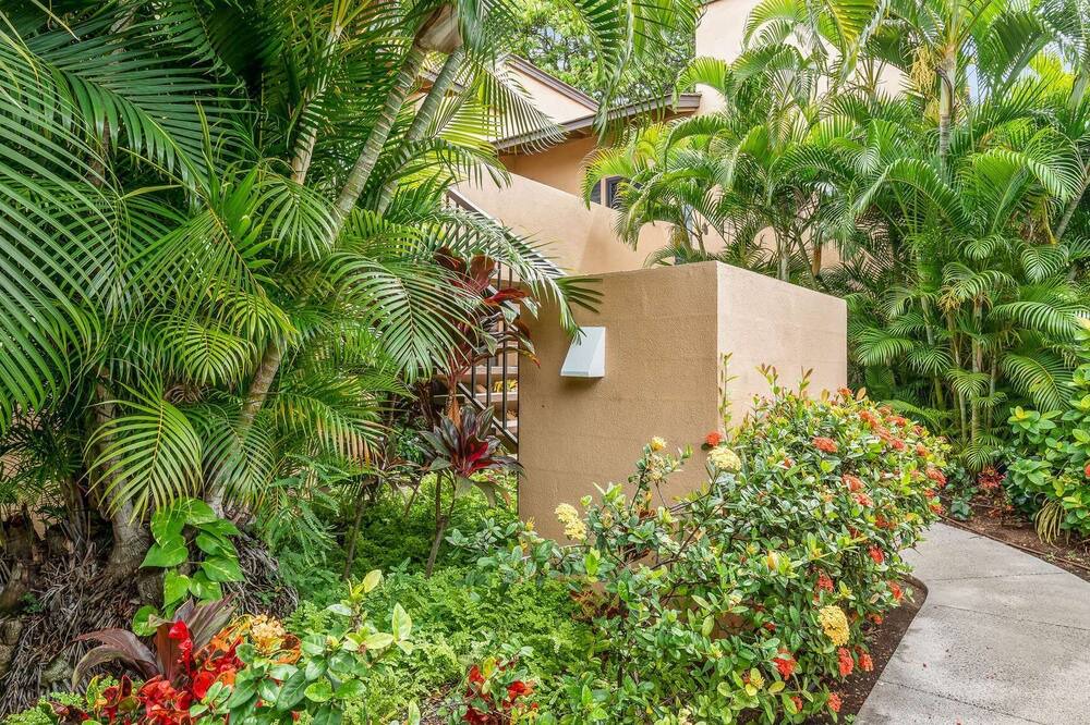 Photo of Outdoor in Wailea