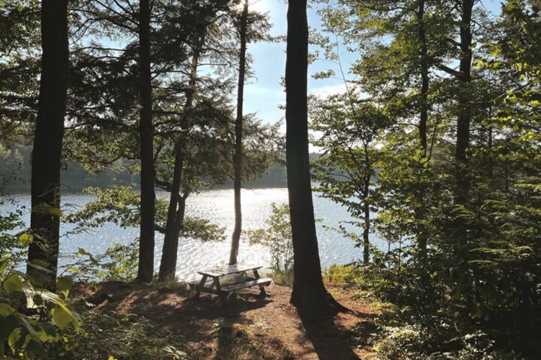 Photo of Outdoor in New Harbor