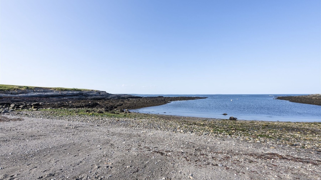 Photo of Others in Pond Cove