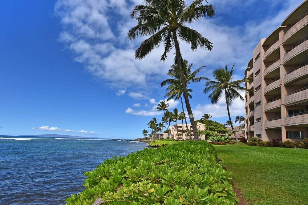 Photo of Others in Maalaea