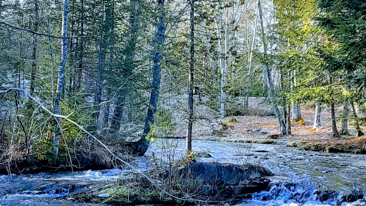 Photo of Outdoor in Mariaville