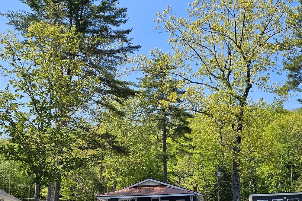Photo of Outdoor in Litchfield