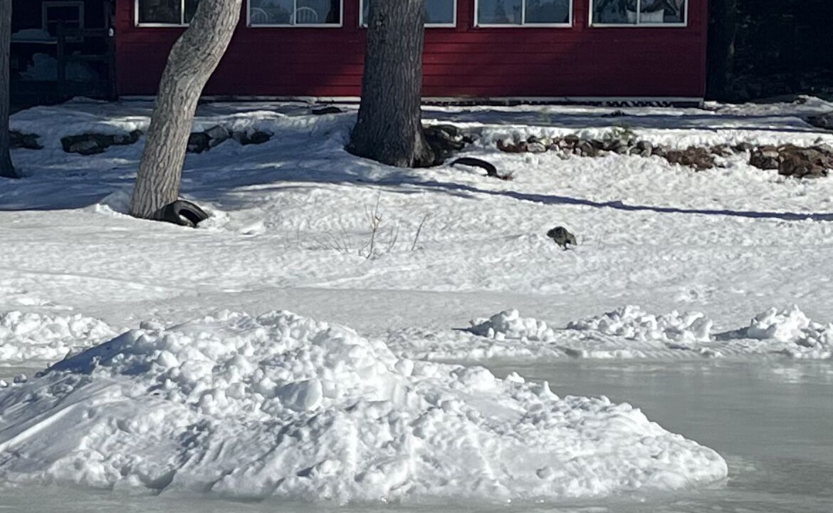 Photo of Outdoor in Center Lovell
