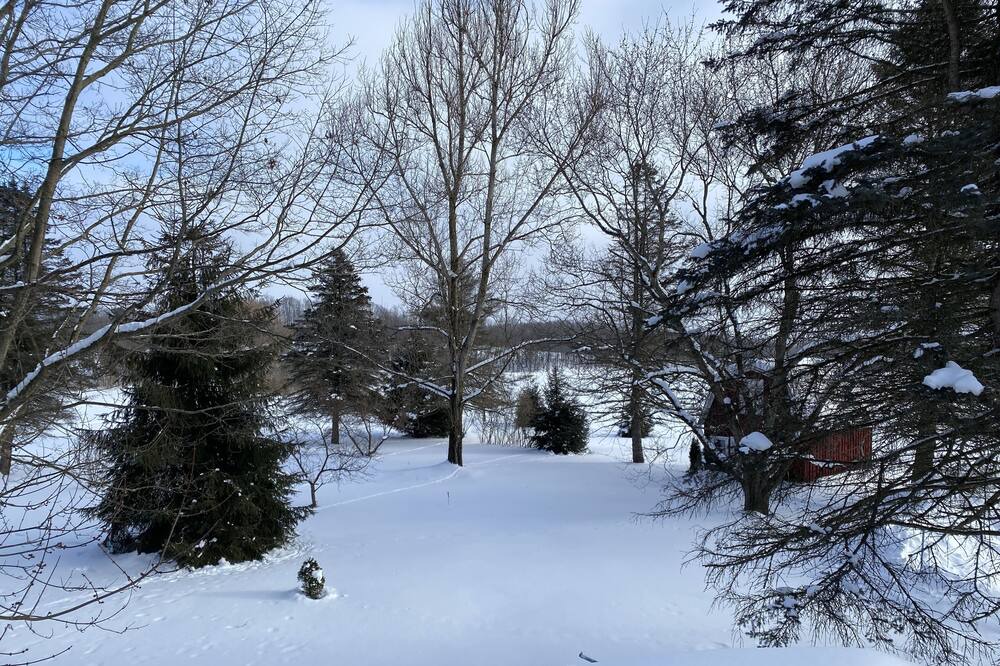 Photo of Outdoor in French Creek