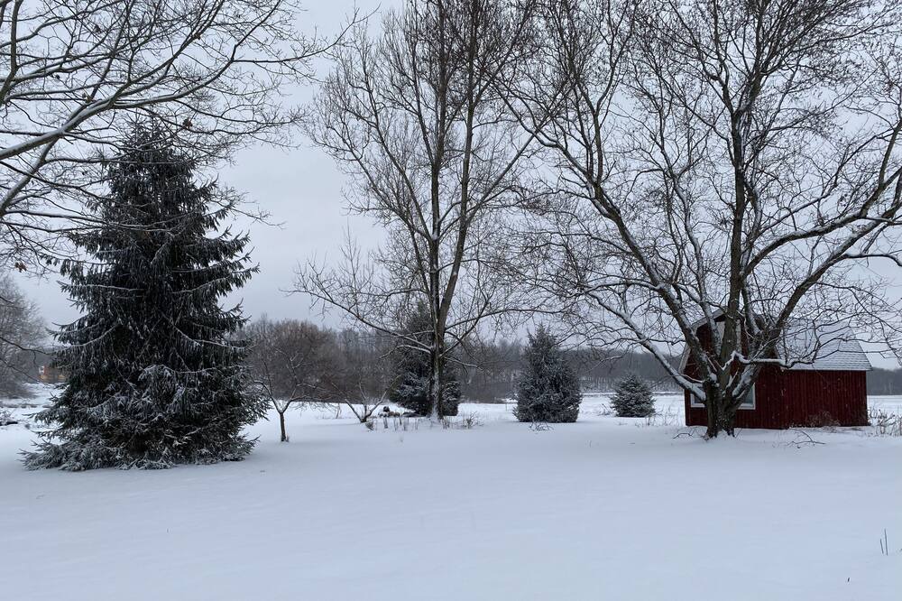 Photo of Outdoor in French Creek
