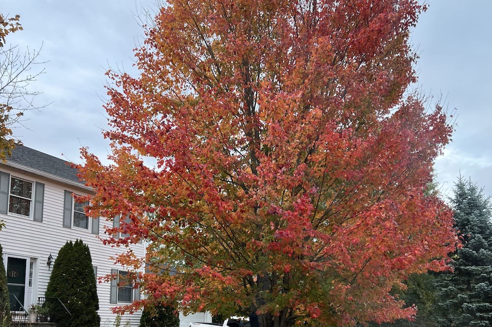 Photo of Outdoor in Waterville