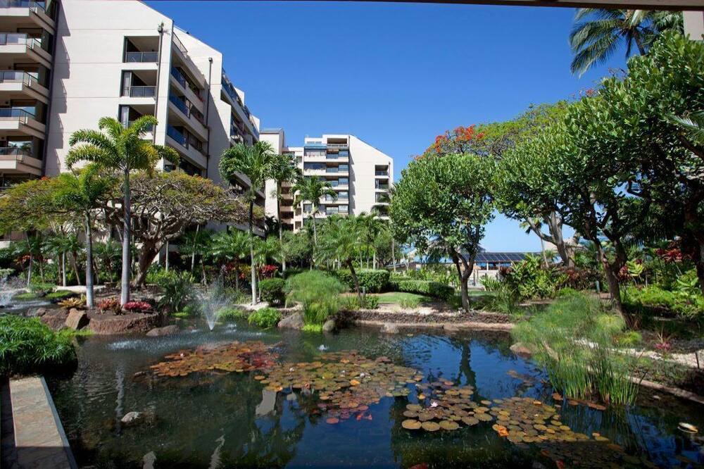 Photo of Outdoor in Kahana