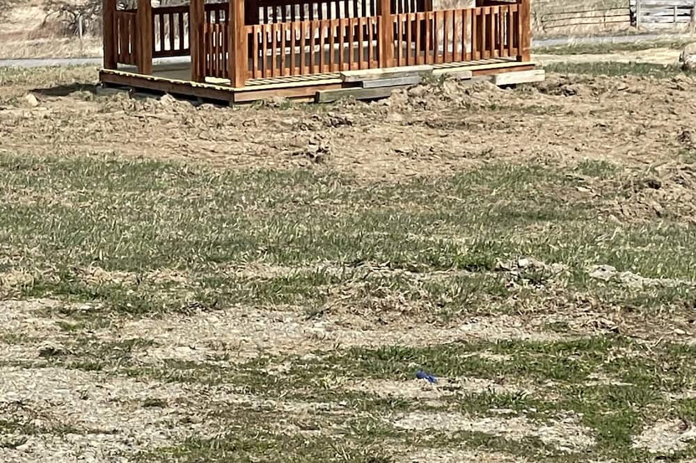 Photo of Outdoor in Fredonia