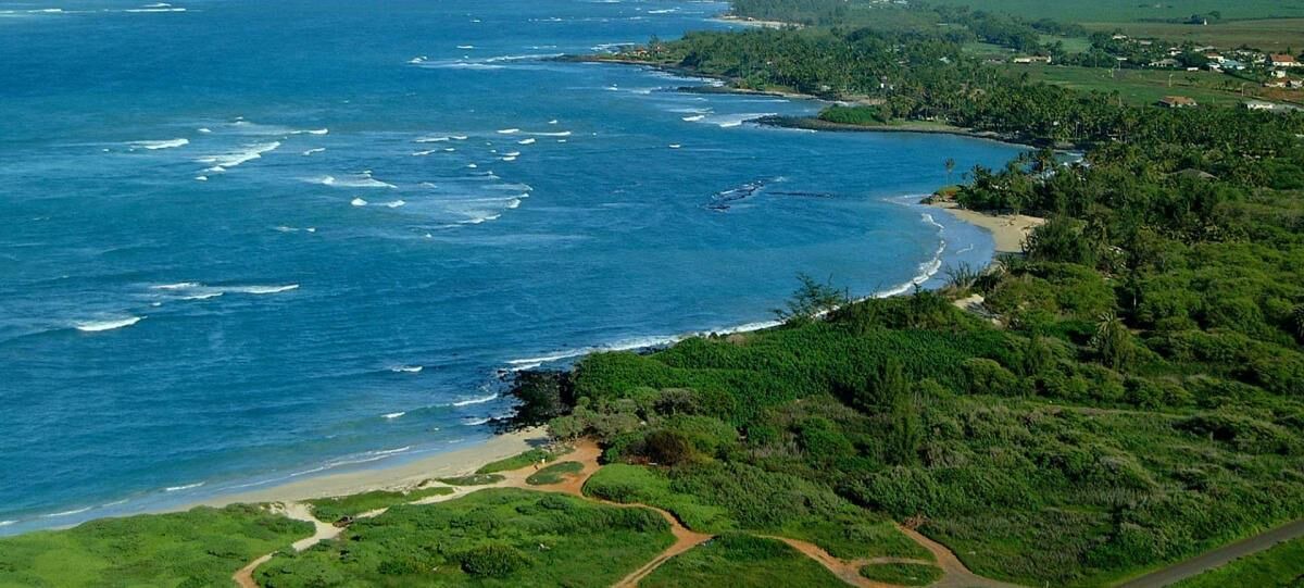 Photo of Others in Kahului