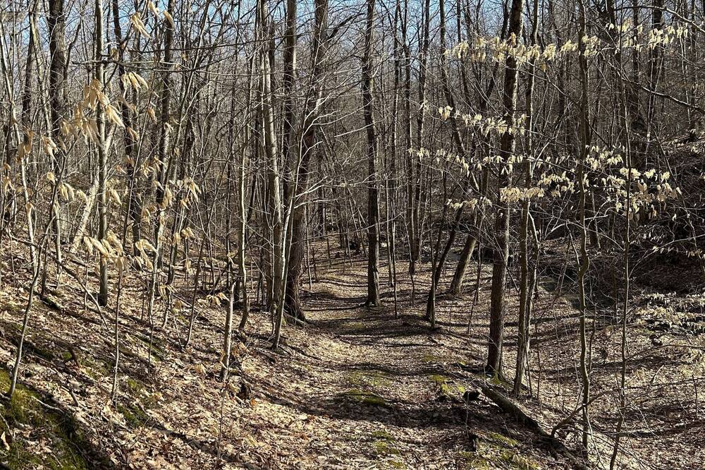 Photo of Outdoor in Prattsburgh