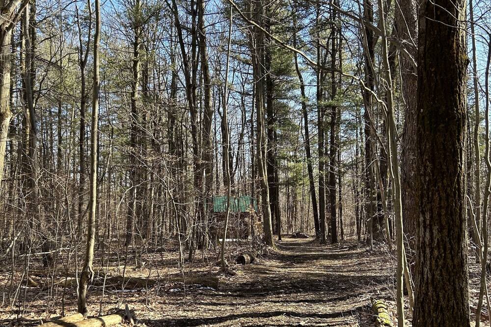 Photo of Others in Prattsburgh