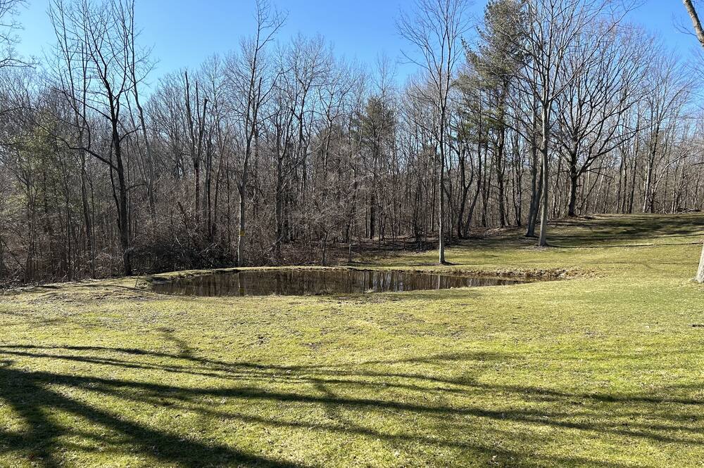 Photo of Outdoor in Prattsburgh