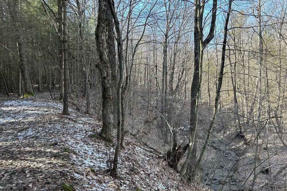 Photo of Others in Prattsburgh
