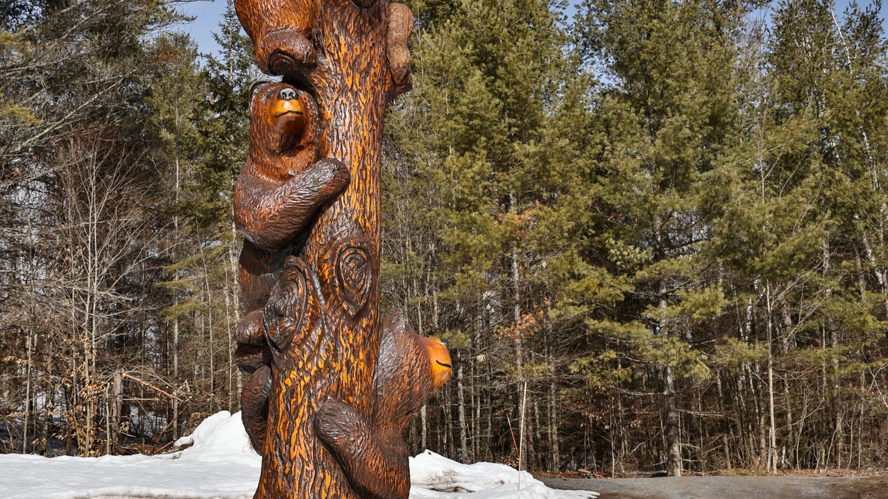 Photo of Outdoor in North Creek