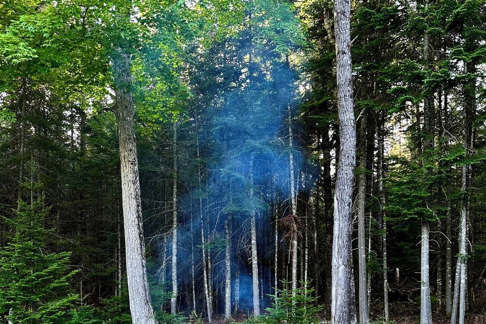 Photo of Outdoor in Rangeley
