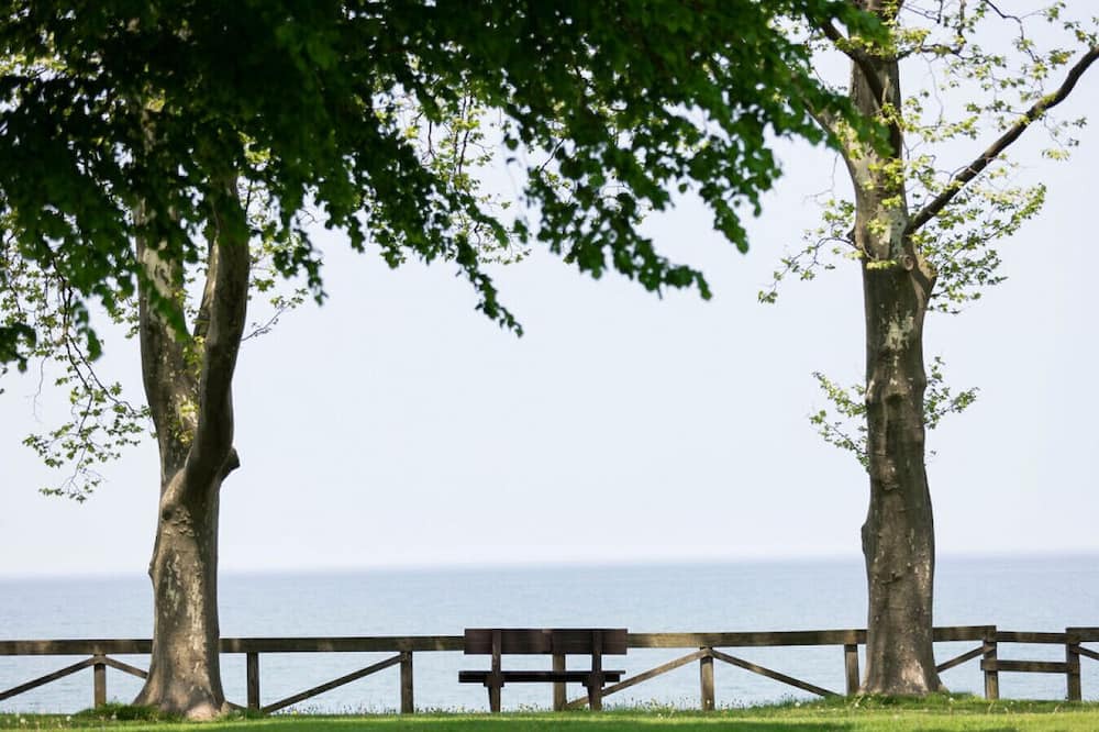 Photo of Others in Lake Breeze Park