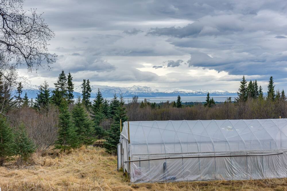 Photo of Outdoor in Fritz Creek