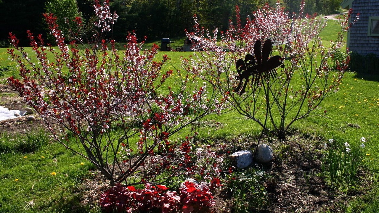 Photo of Outdoor in Dresden