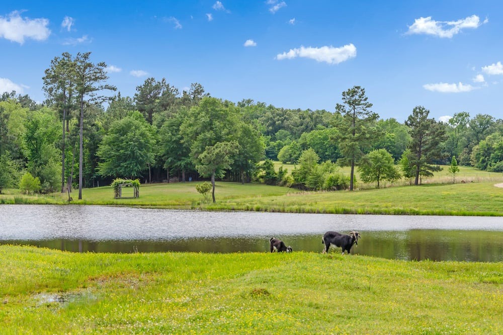 Photo of Others in Tyler