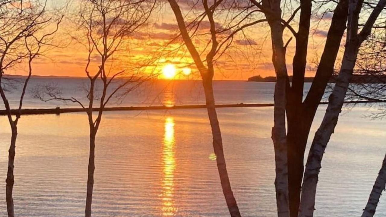 Photo of Others in Glen Cove