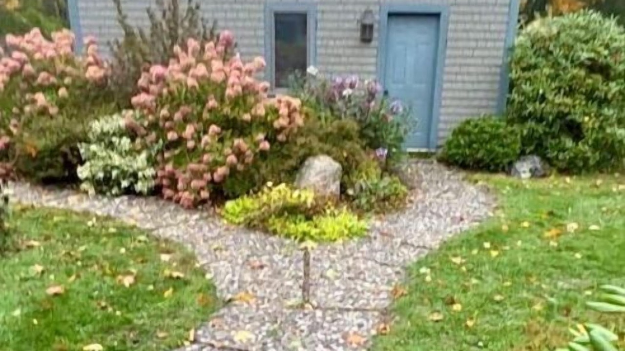 Photo of Outdoor in Glen Cove