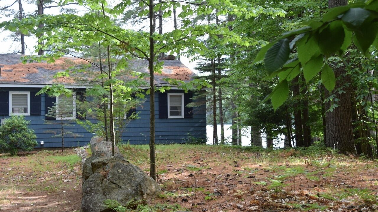Photo of Outdoor in Denmark