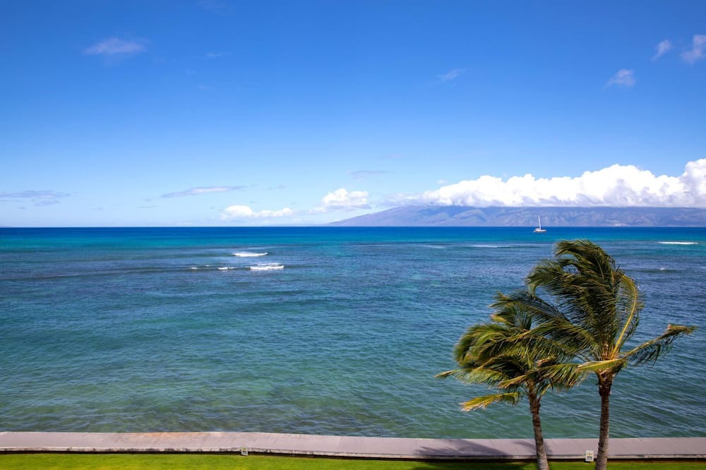 Photo of Others in Kahana