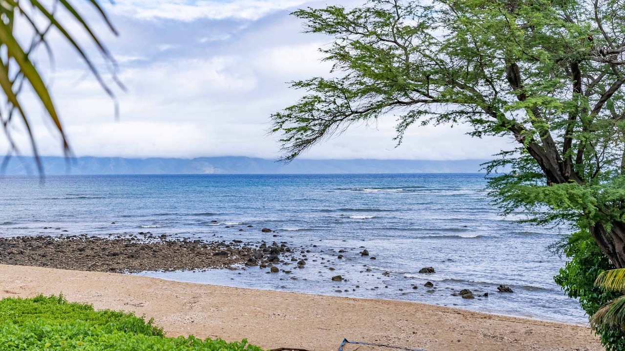 Photo of Others in Kahana