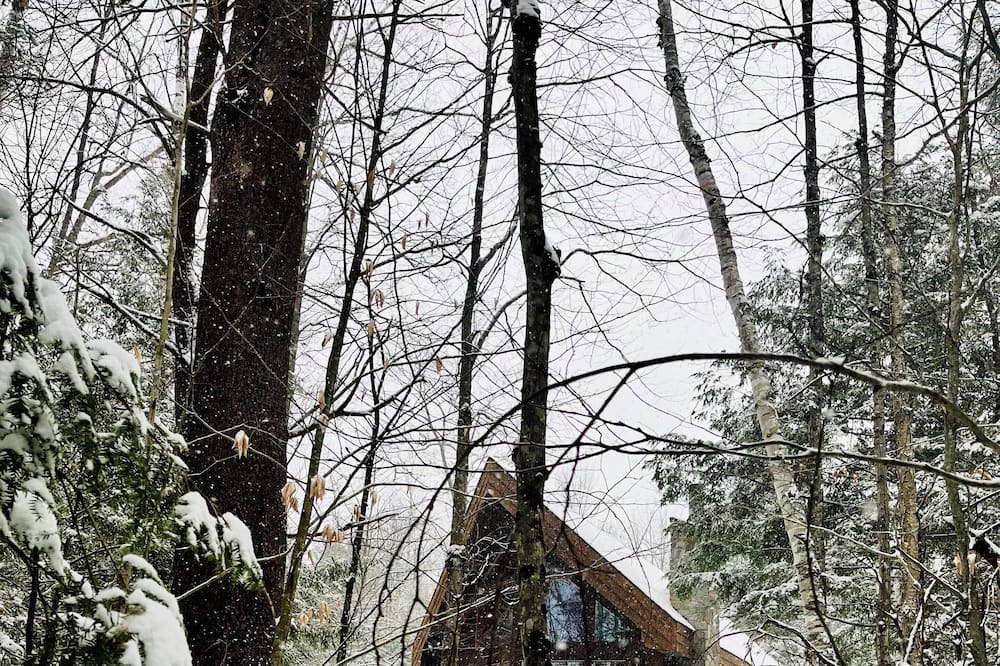 Photo of Others in North Creek