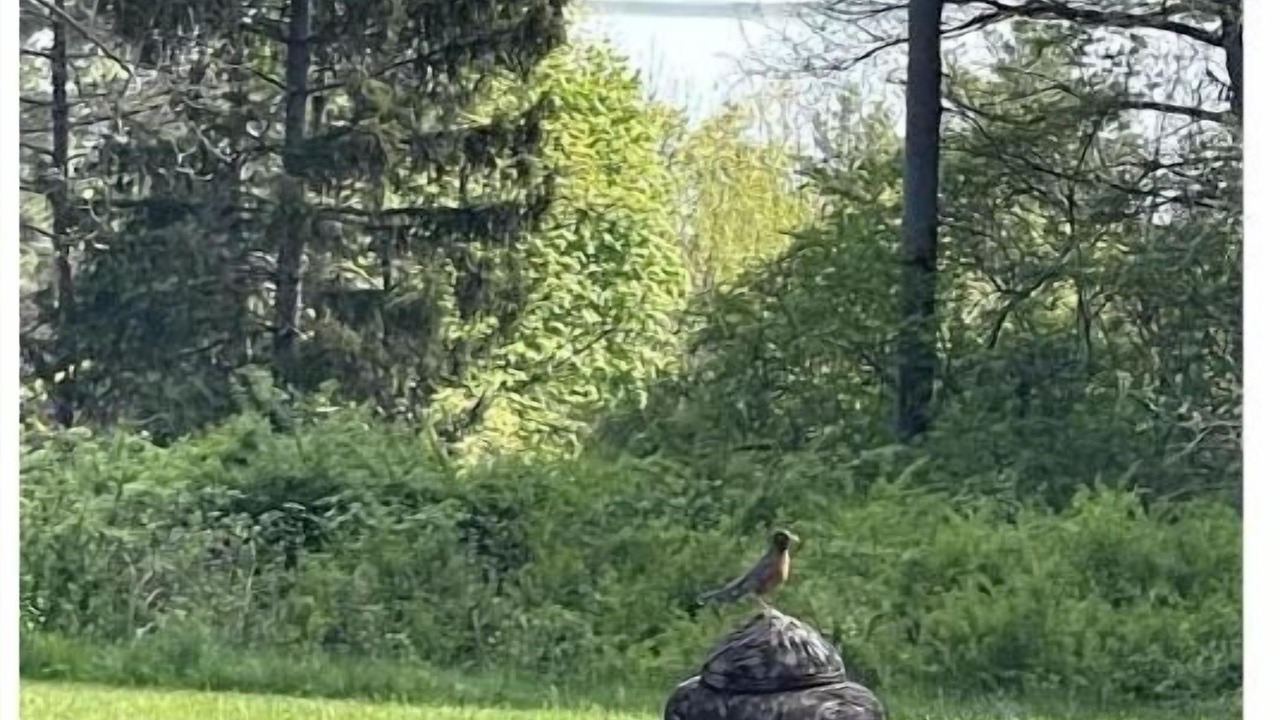 Photo of Others in Trumansburg