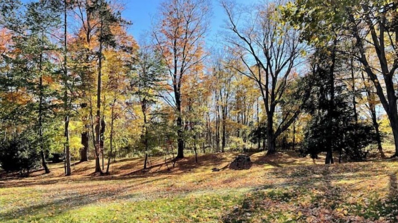 Photo of Outdoor in Trumansburg